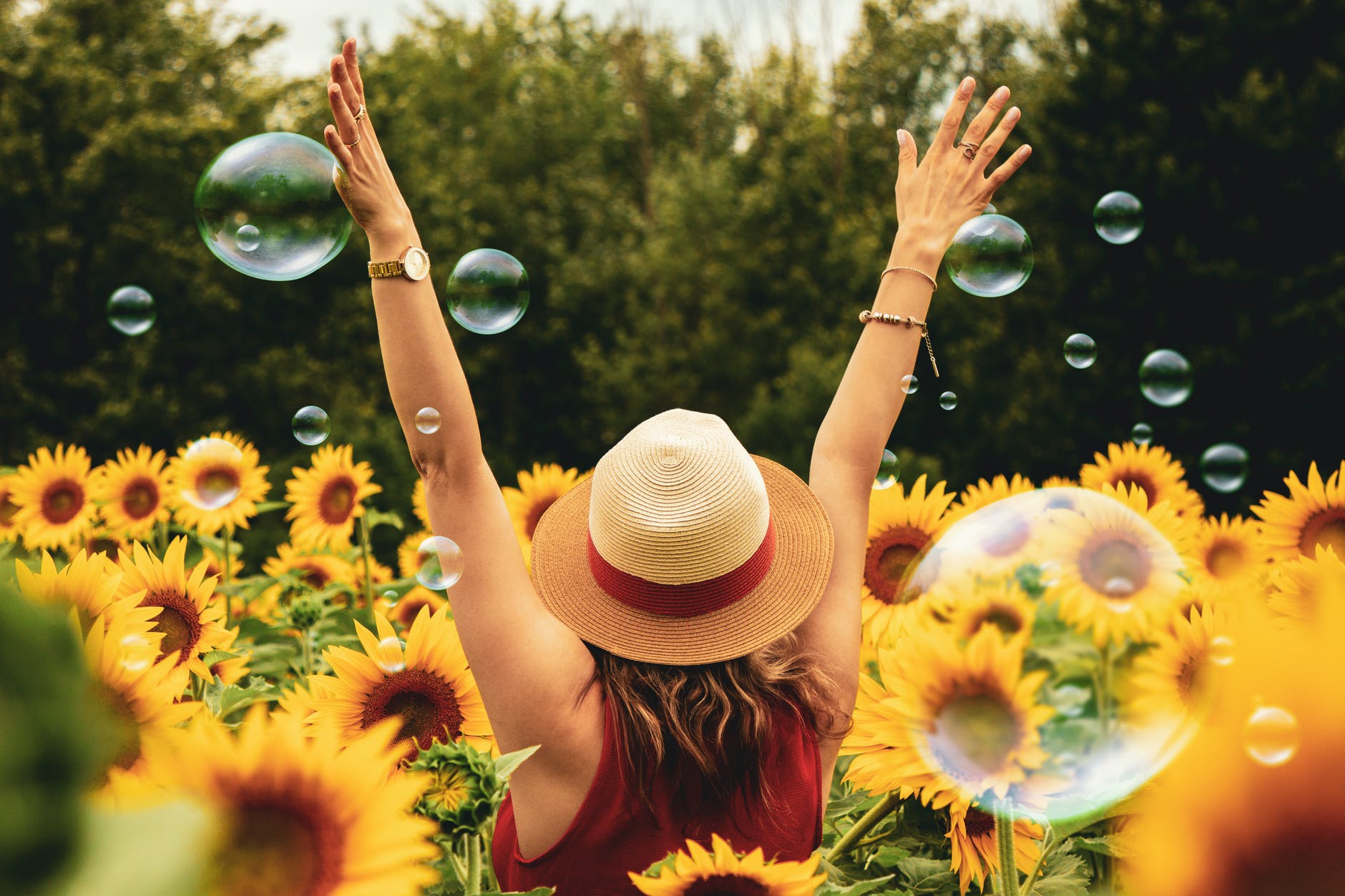photography of woman surrounded by sunflowers